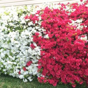 Meet your Posher, Robyn